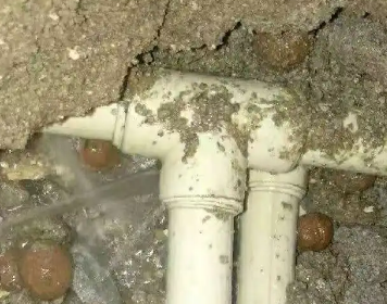 吴兴测漏水多少钱