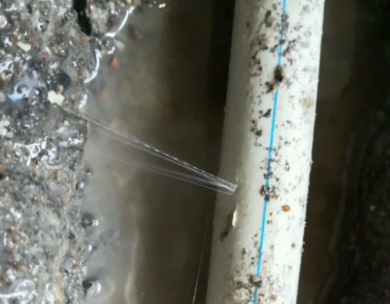 吴兴测漏水哪家好