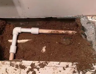 吴兴测漏水哪家好