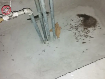 吴兴卫生间测漏水价格明细