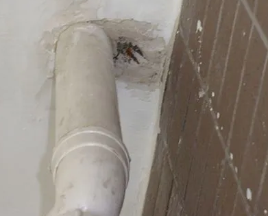 吴兴漏水检测哪家好